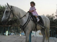 Прокат лошадей - фотогалерея на RCC-TRAVEL.RU Прокат лошадей - фотогалерея на RCC-TRAVEL.RU